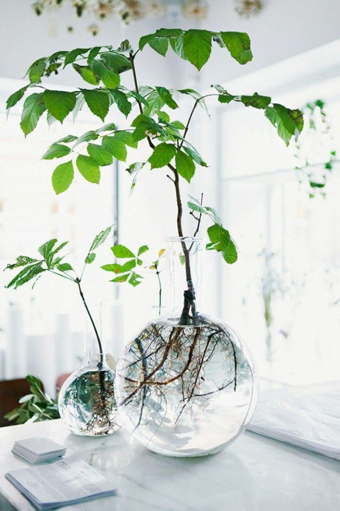 vazos deco idėjos-žalia-augalų-in-sferinių puodeliai