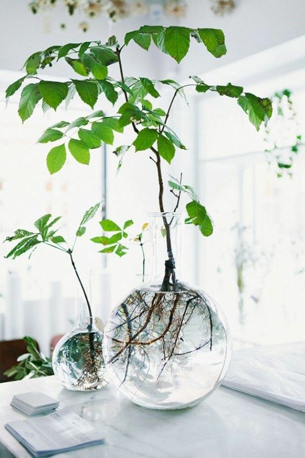 vasos-decorar-grande-verde-planta