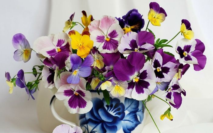 violetiniai gėlės-su-graži-gėlių-papuošalas-Deco-su-gėlės