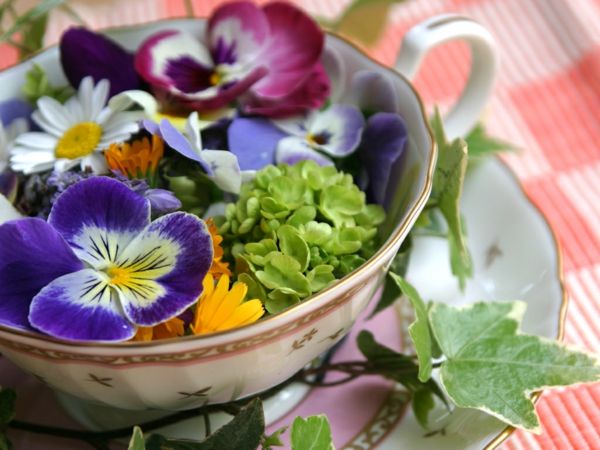 violeta-and-daisy-salada