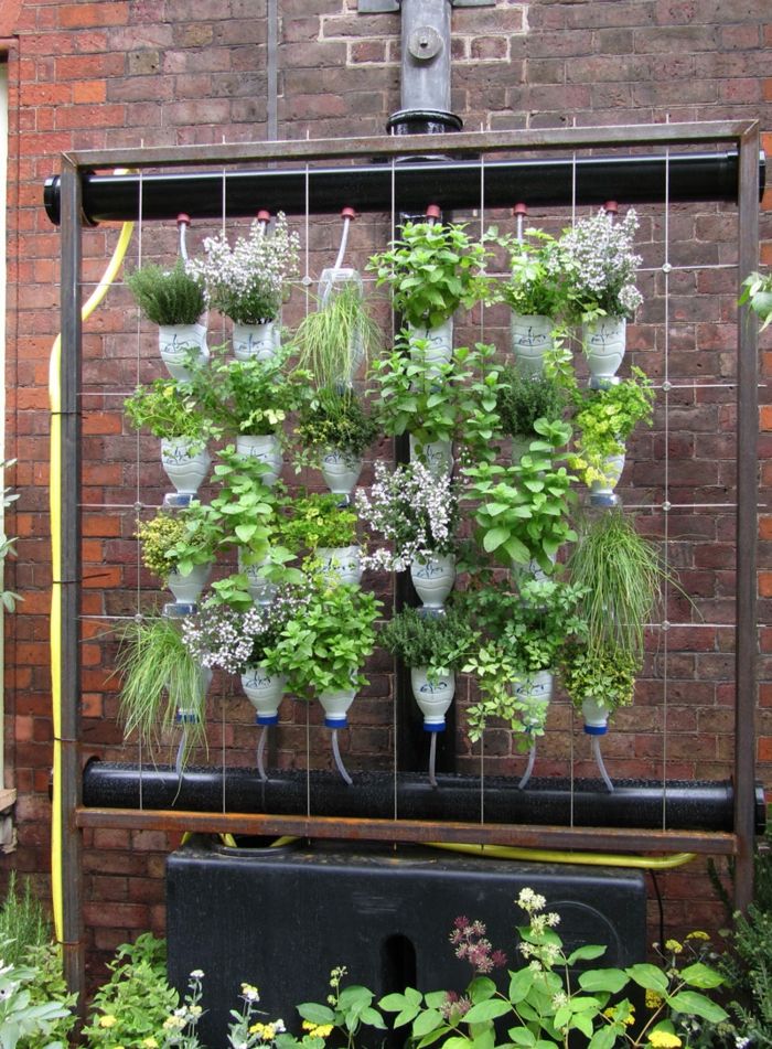 Zgradite lastno rastlinsko steno - kako enostavno namakati vse s steklenicami