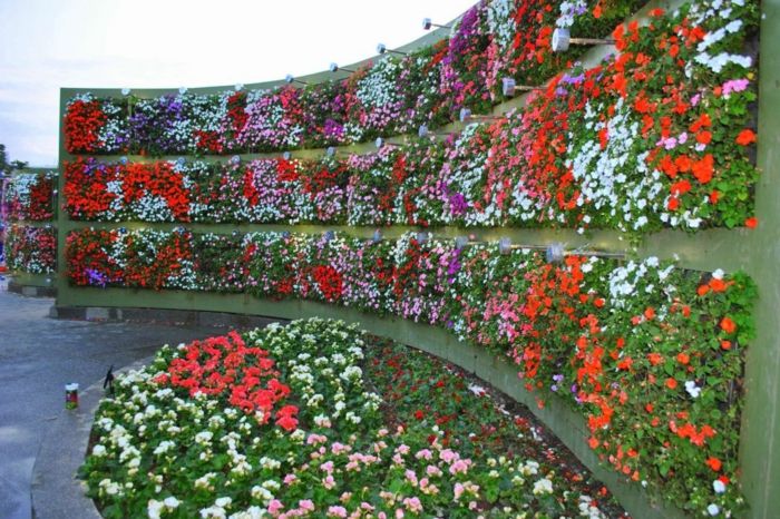 vertikalni vrt s številnimi različnimi vrstami cvetja na zaokroženi steni