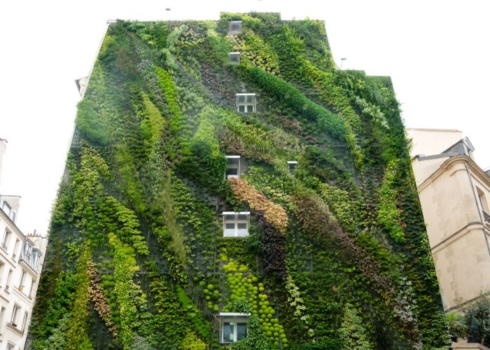 celoten apartma blok je navpični vrt v odtenkih zelene