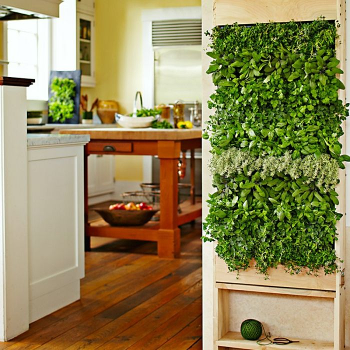 rastlina navpično v kuhinji, miza iz masivnega lesa z zeleno dekoracijo