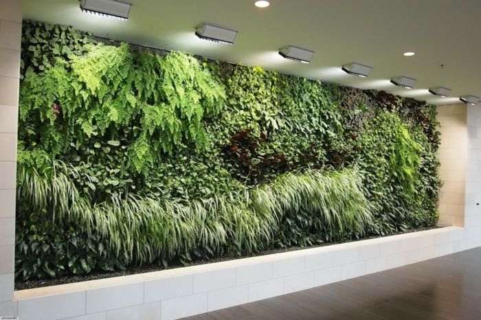 vertikalno zelenjavo v dvorani z zelenimi rastlinami mnogih vrst