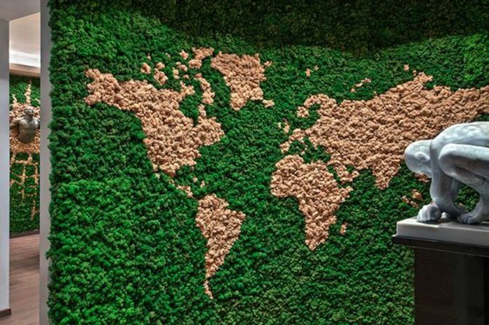 Dünya haritasını temsil eden bir yosun resmi