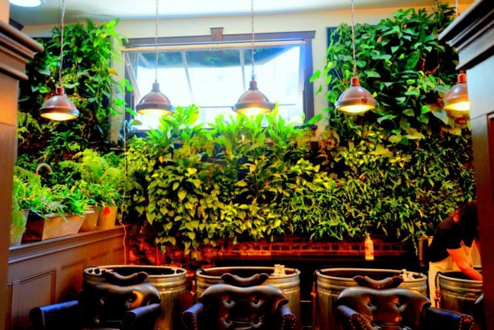 restavracija z zanimivo osvetlitvijo in vertikalno zelenjavo na oknu