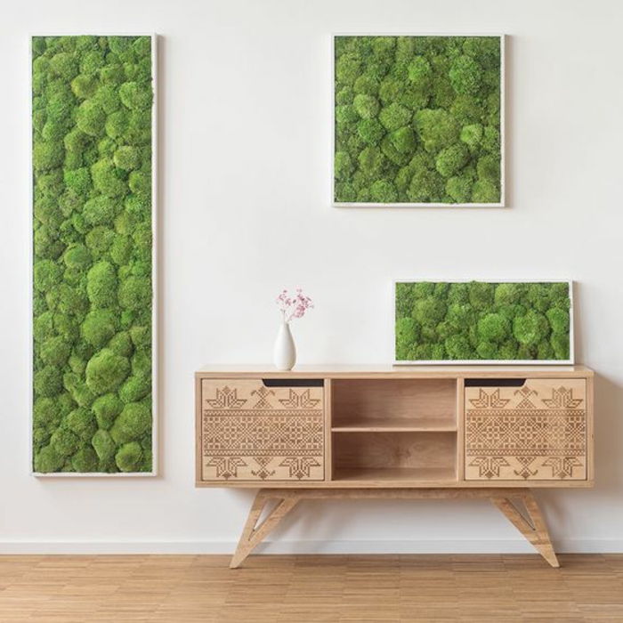 koridorda duvarda bir yosun resim kolaj