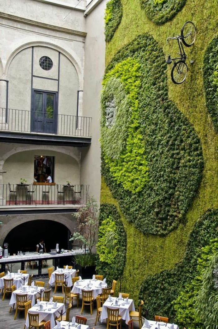 yosun bütün bir duvar ile bir restoran