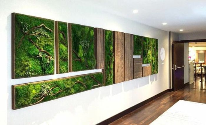 Moss-paveikslėlių koliažas koridoriuje namuose