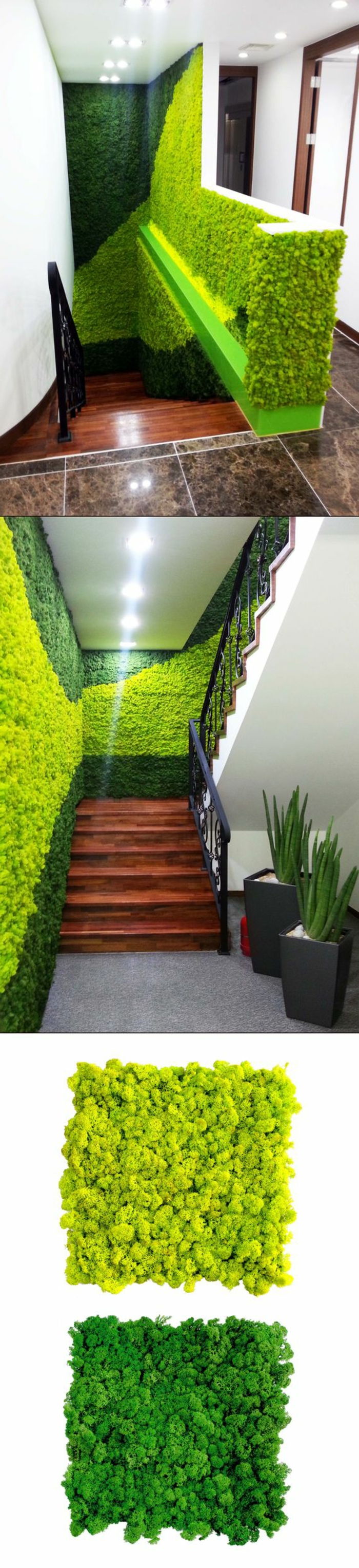 Kle veggene i trapp med mos