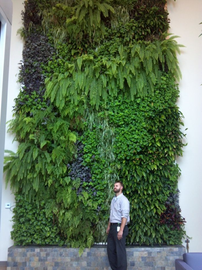 Visoki strop z vertikalno zasaditvijo - eksotične in okrasne rastline