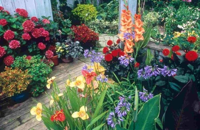 mångfärgade blommor-grön-miljö vackra trädgårdsarbete