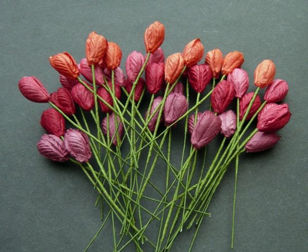 mnoho ružových a červených tulipánov - sivé pozadie