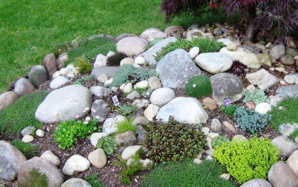 veel-stones-in-tuin