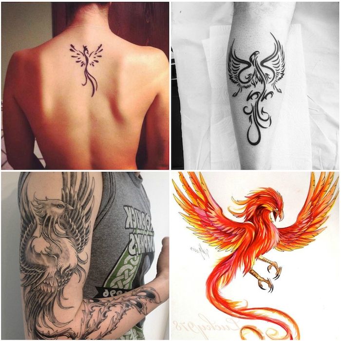 cztery pomysły na tatuaże feniksa - kobieta z małym czarnym tatuażem z czarnym latającym feniksem z czarnymi piórami - czerwony latający duży feniks z czerwonymi i żółtymi i pomarańczowymi piórami - mężczyzna z czarnym tatuażem feniksa