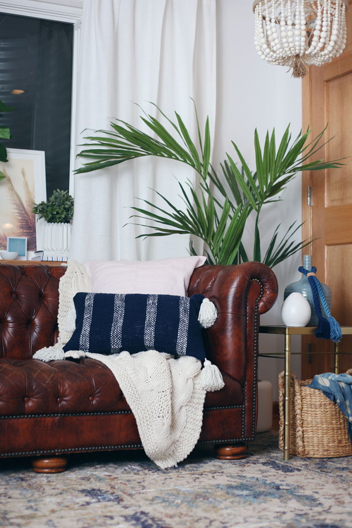 Arredamento vintage, divano in pelle, cuscino decorativo blu, grande pianta d'appartamento, lampadario