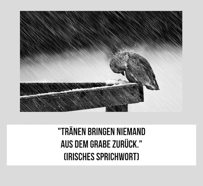 Här visar vi dig ett irlands ordspråk och en ledsen bild med en sorglig gråtande fågel och regn - ledsen, ledsen och ledsen att tänka på