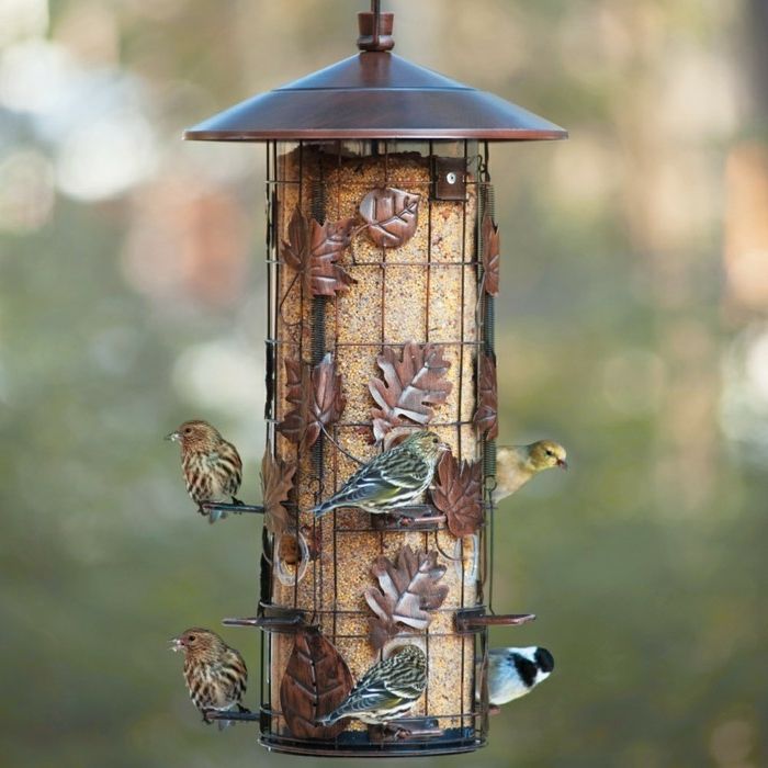Alavo lizdo dėžutė, paukščių maistas, penki maži paukščiai, dekoratyviniai rudens lapai