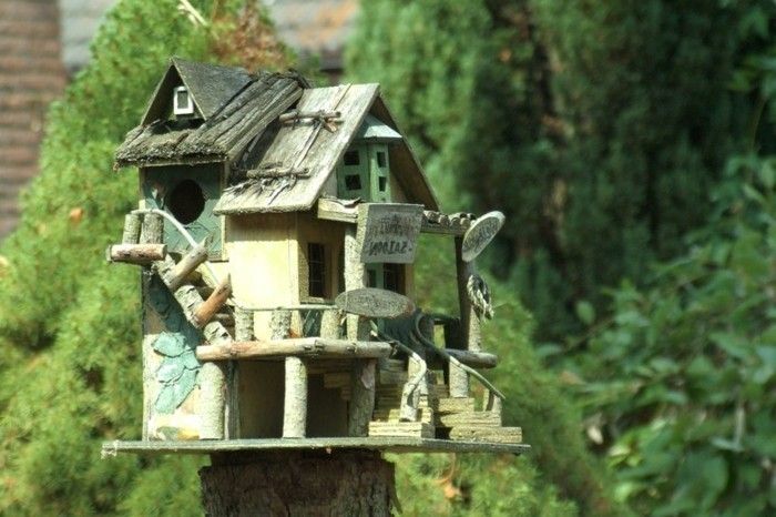 semințe de birdseed casă proprie-build-build-o pasăre casă proprie-build-confortabil cu aspect