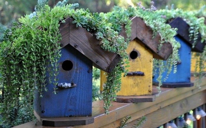 birdseed casa propriu-build-un-Aid-pasăre casa-can-you--ntreaga-gradina-înfrumuseța cu