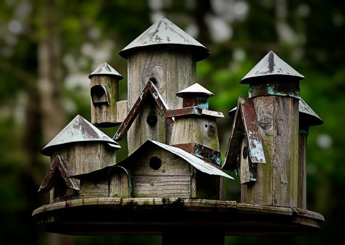 casa-build-sonho-bird própria alpiste construção de casas de semente