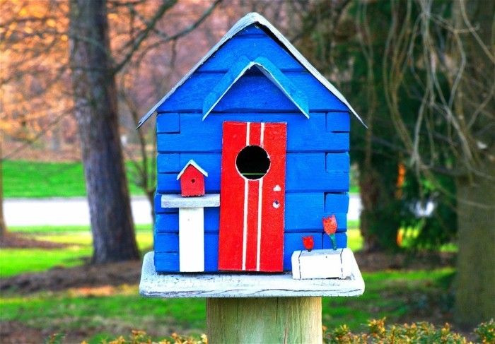 birdseed clădire casa proprie-build-birdhouse-cu-copii