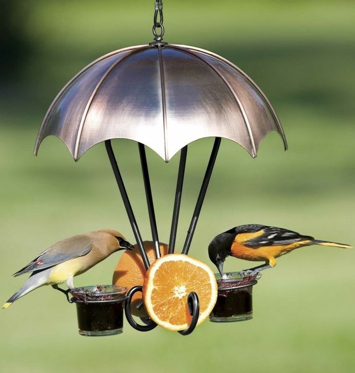 yaratıcı kuş yuvası, teneke şemsiye, iki bardak, reçel dolu, iki dilim turuncu, iki küçük kuş