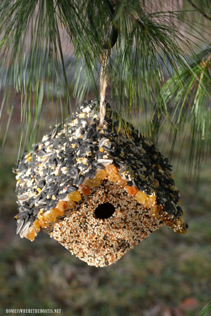 Faça alimentadores de pássaros para pássaros, cole sementes, sementes de girassol e passas