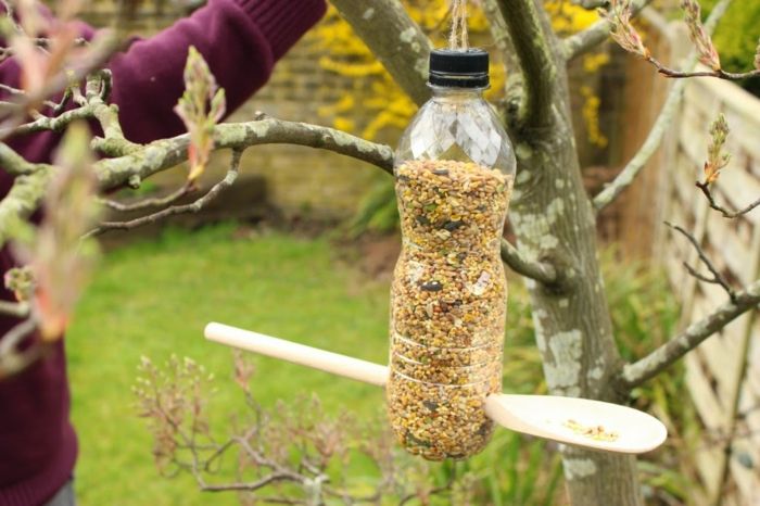 Paukščių maitinimo paukščių išpilstymas iš plastikinio butelio ir medinės šaukšto, paprastų pasididžiavimo projektų vaikams ir suaugusiems