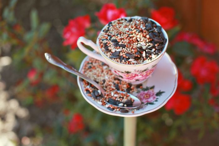 Fazer caixa de nidificação de xícara de chá, encher com sementes e sementes de girassol, projeto DIY simples