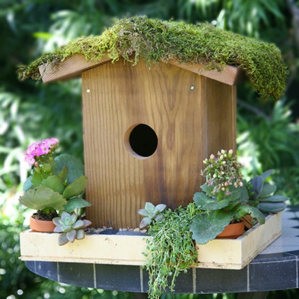 fugl hus-selv-bygge-interessant-design-søt utseende
