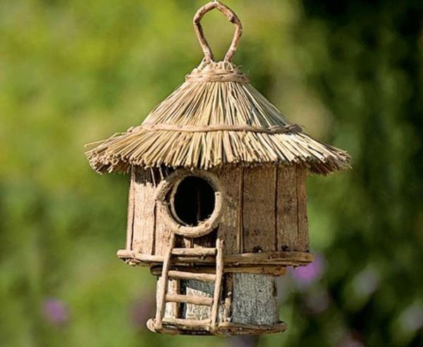 Kuş evi-kendi-yap-yaratıcı-model orman