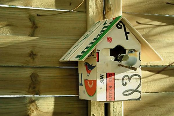 birdhouse-selvbygger-vakker-ser-fargerike farger og en fugl