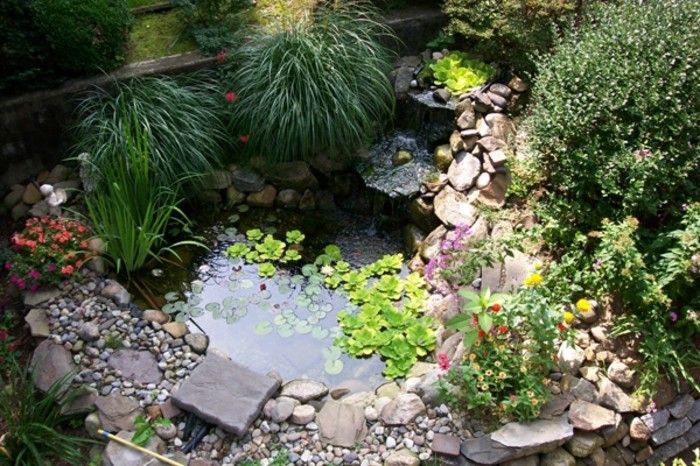 Vorgarten-create-pequena lagoa-e-bonita-verde-planta