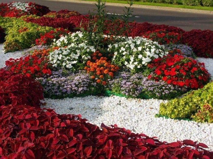 vorgarten-make-belo-prodnate-rdeče-flower-in-rastlina-belo-cvetje-vijolično cvetje