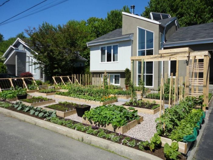 paturi vegetale patrate - design de grădină frontală cu pietriș - mică casă terasă