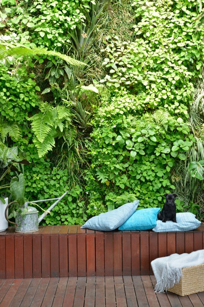 Vrt enostaven za vzdrževanje navpičnega vrta zeleno steno klopi plošč