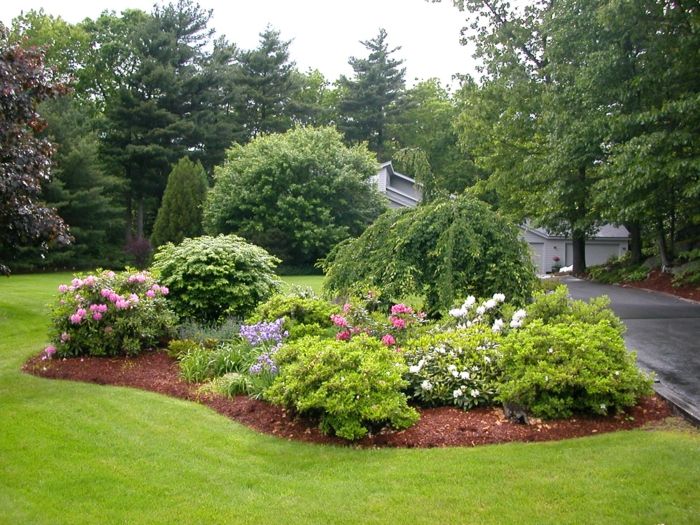 Grădină și paturi de flori, arbuști ornamentali - curte modernă din față
