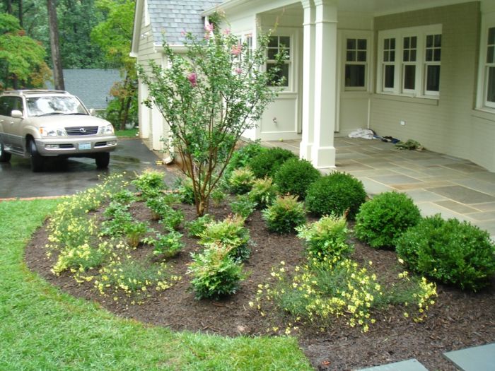 majhne gredice z rumenimi cvetovi se osredotočajo na ruševje - rastline na dvorišču
