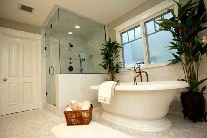vaikščioti-in-dušas-in-stiklo-šalia-A-modernus-balta-vonia