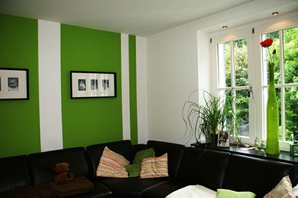 steno barvno kombinacijo-zeleno-belo