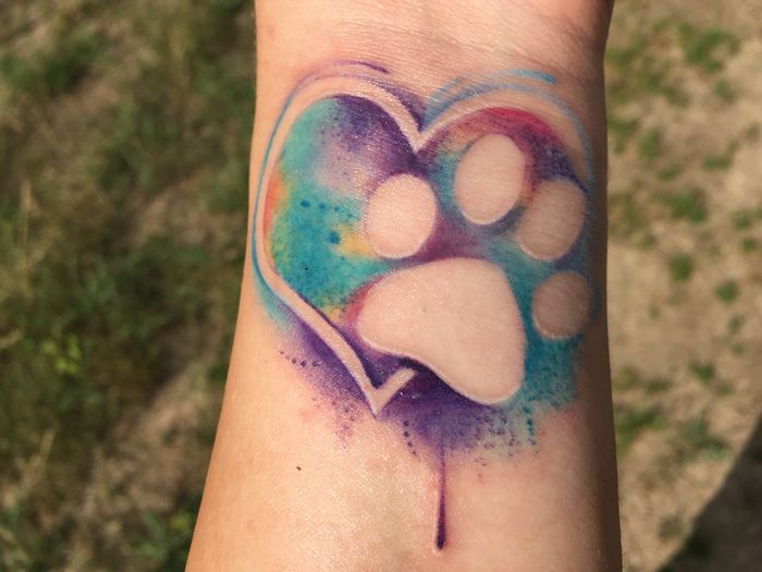 fargerike tatoveringer Vannfarge tatovering pote og hjerte kjærlighet til kjæledyret