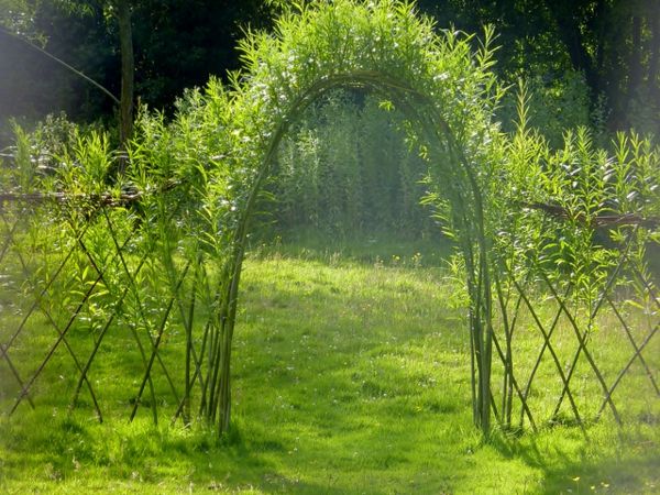 pasienky plot-vlastné-build-arch-zelená