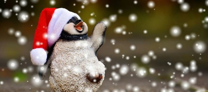 un pinguin cu pălărie de santa se bucură de zăpadă cu zâmbet - fotografii de Crăciun