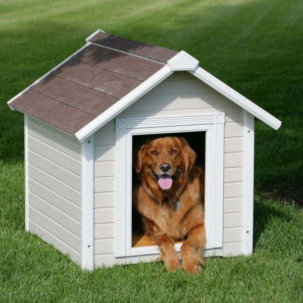 White Hut-by-the-dog