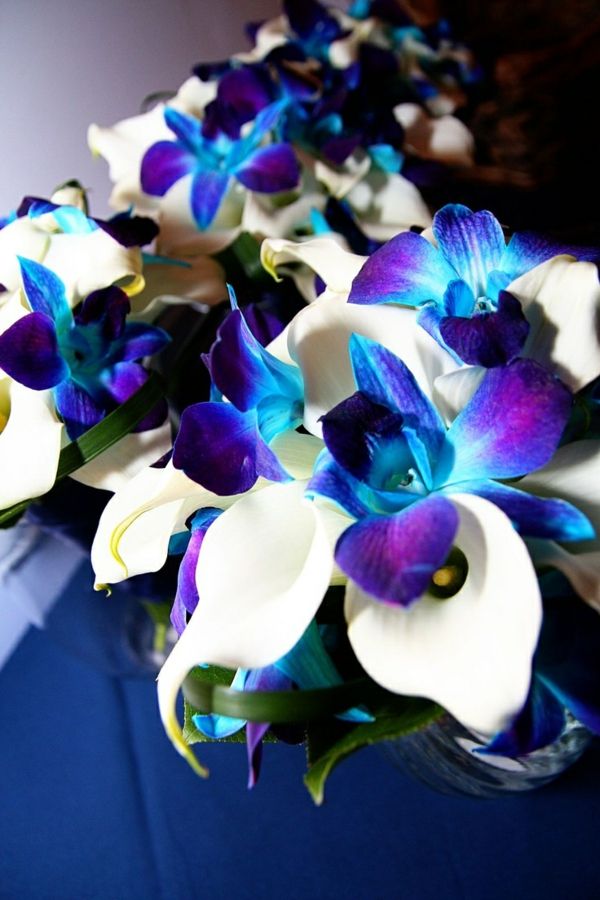 balta, lelija-mėlyna orchidėjų Hochzeitsdeko-hochzeitssträße-