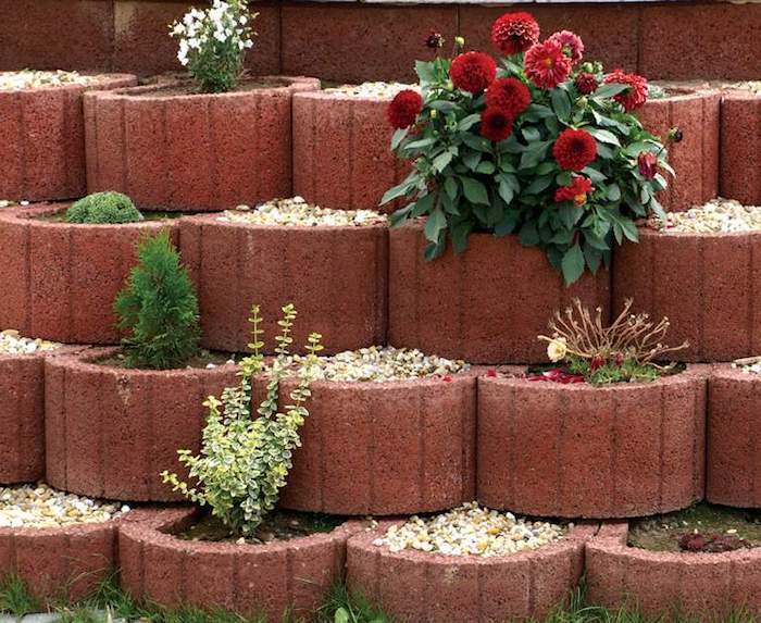 gražūs augalų žiedai iš betono su mažomis raudonomis ir baltomis gėlėmis bei žaliaisiais augalais