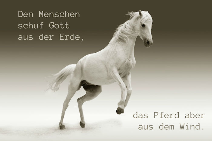 Een wit paard in de sprong, paard met zwarte ogen en een dichte, witte manen en grijze hoeven, paardenbeeld met een kort paard