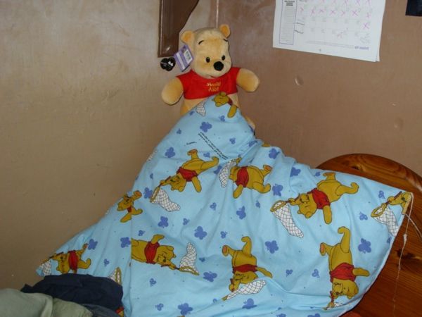 Winnie-pūkinės antklodės-šalia yra įdaryti gyvūnas